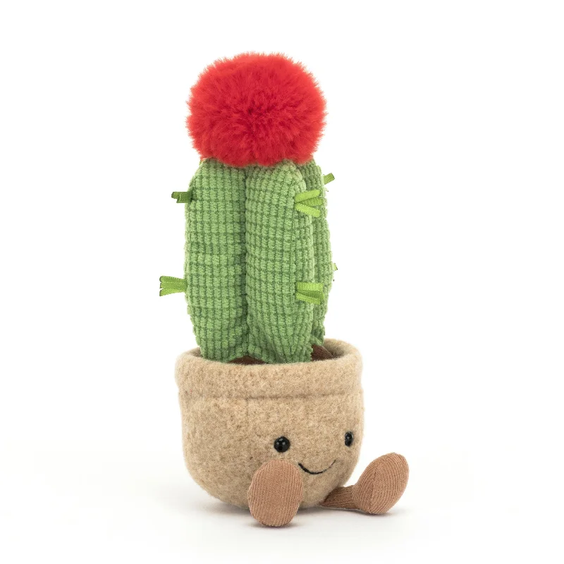 Amuseable Moon Cactus