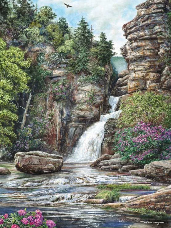 Puzzle Linville Falls 550 pc 50542